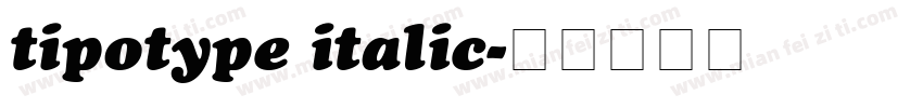 tipotype italic字体转换